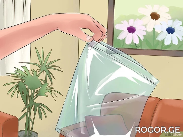 rogor-1660563350.ge1.jpg
