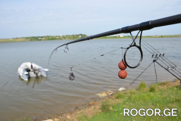 s-1662039646.png