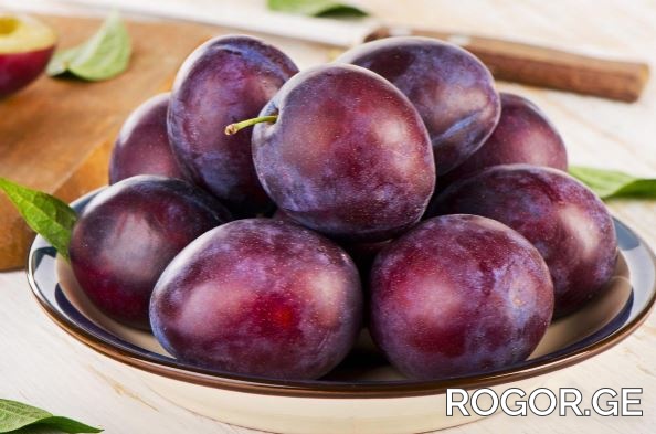 rogor-1662716927.jpg