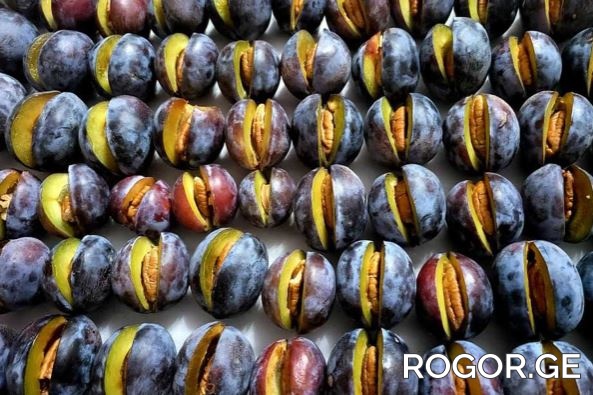 rogor2-1662717090.jpg