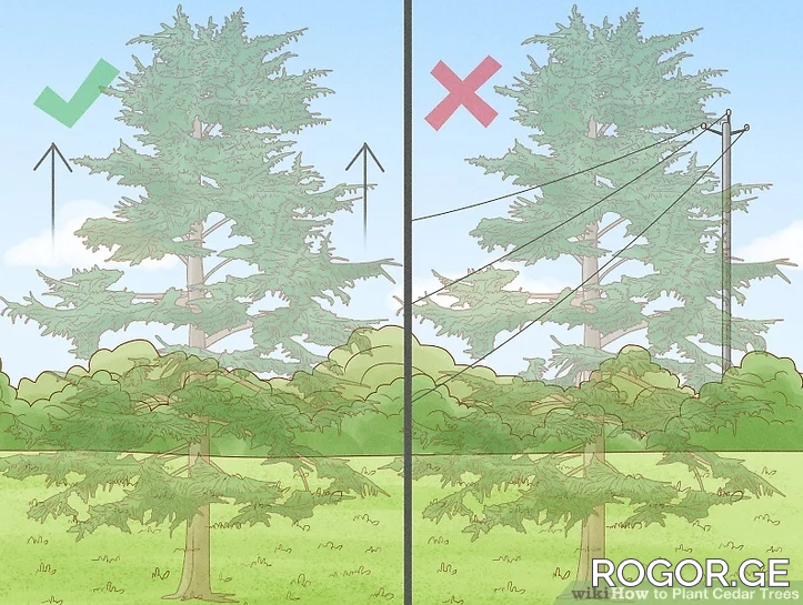 1-1664319489.png