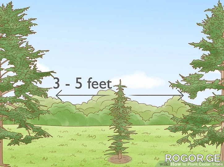 2-1664319499.png