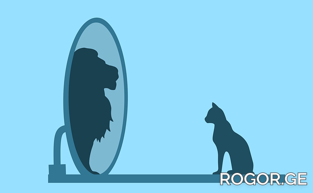 rogor-1679050856.png