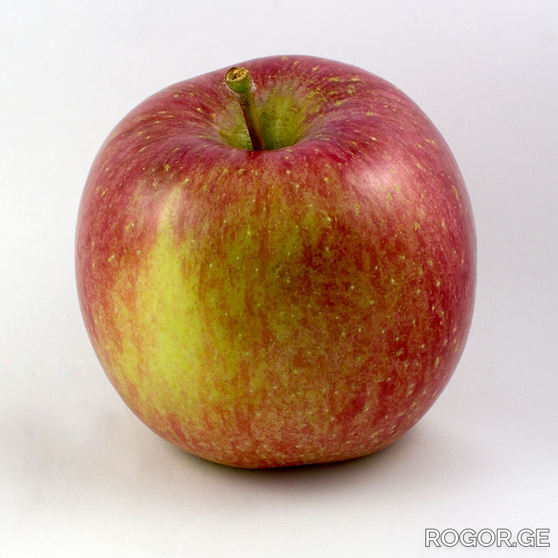 1-1722493568.jpg