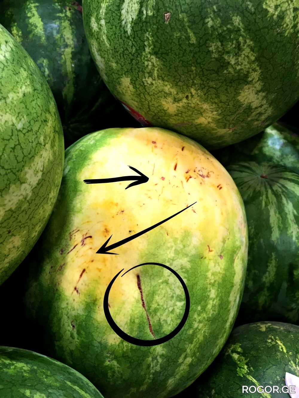 marked-watermelon-1781615045.jpg