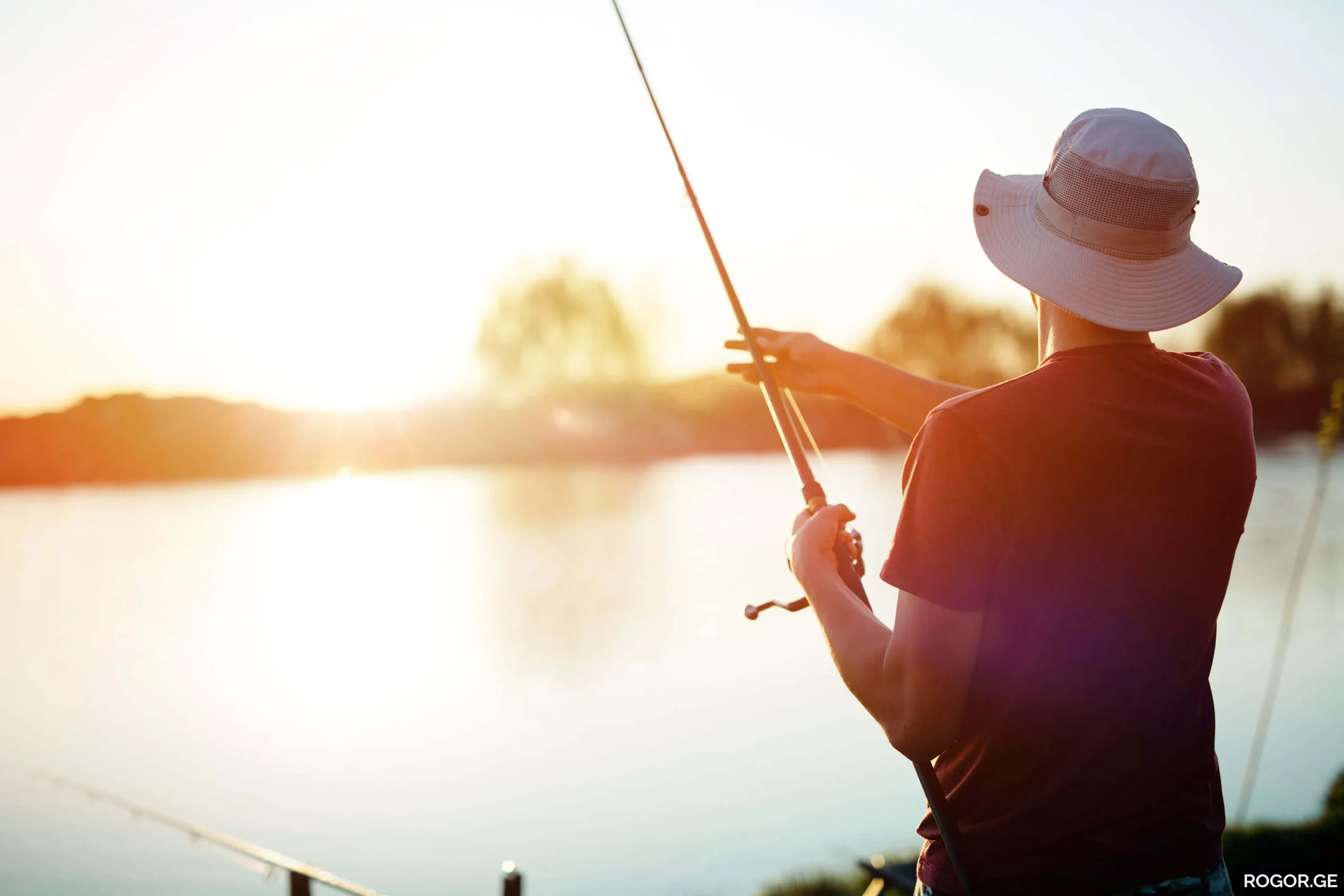 adobestock-186854358-scaled-1786692248.webp